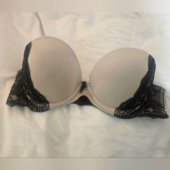 Elegant Lace Trimmed Bra - Picture 1 of 4